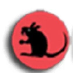 Jersy Pest Control